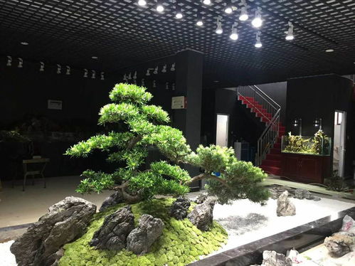 長沙枯山水室內(nèi)外景觀制作案例賞析——湖南綠蟻人庭院設(shè)計